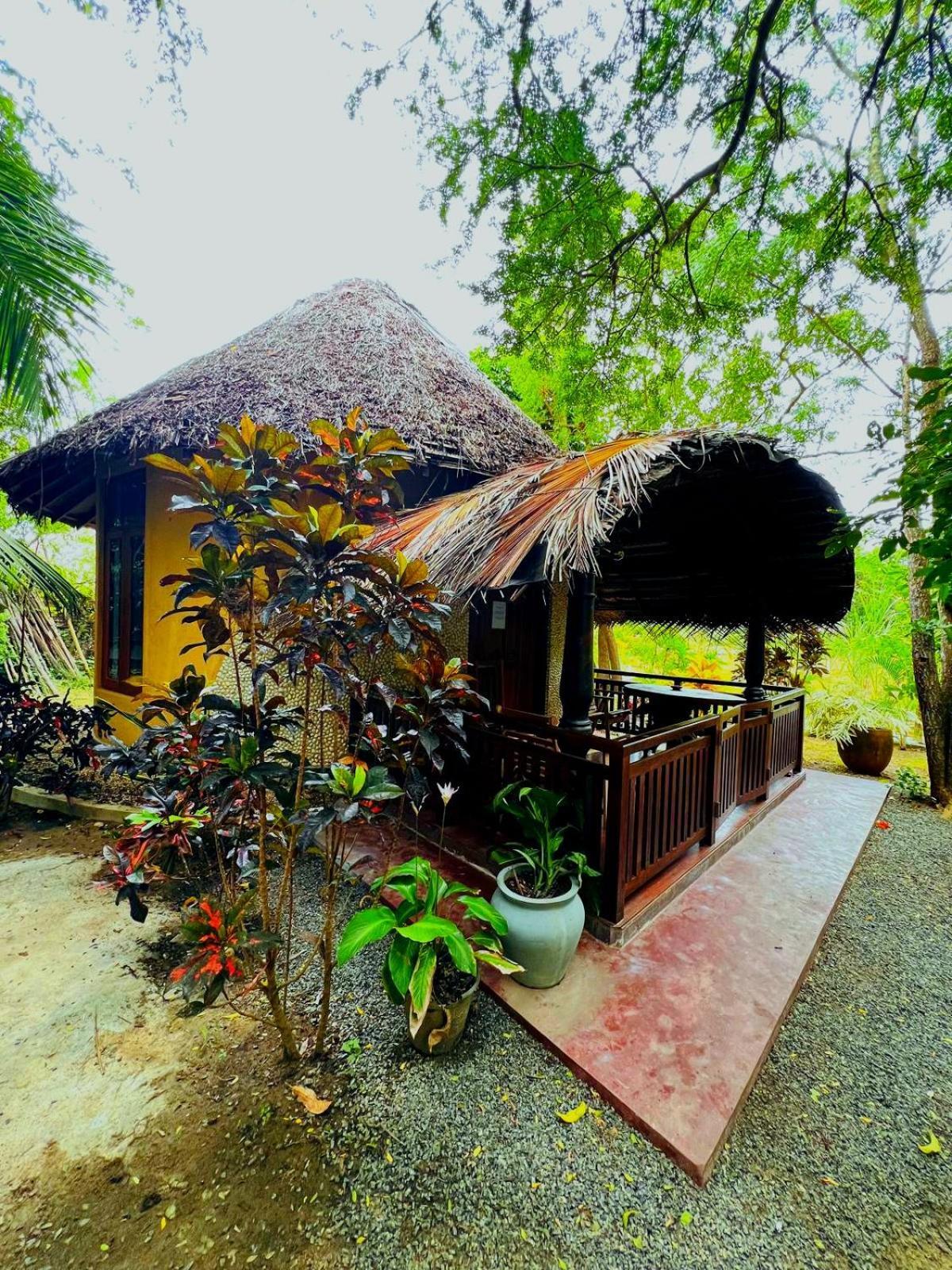 Turtle Watch Cabana Tangalle Exteriör bild