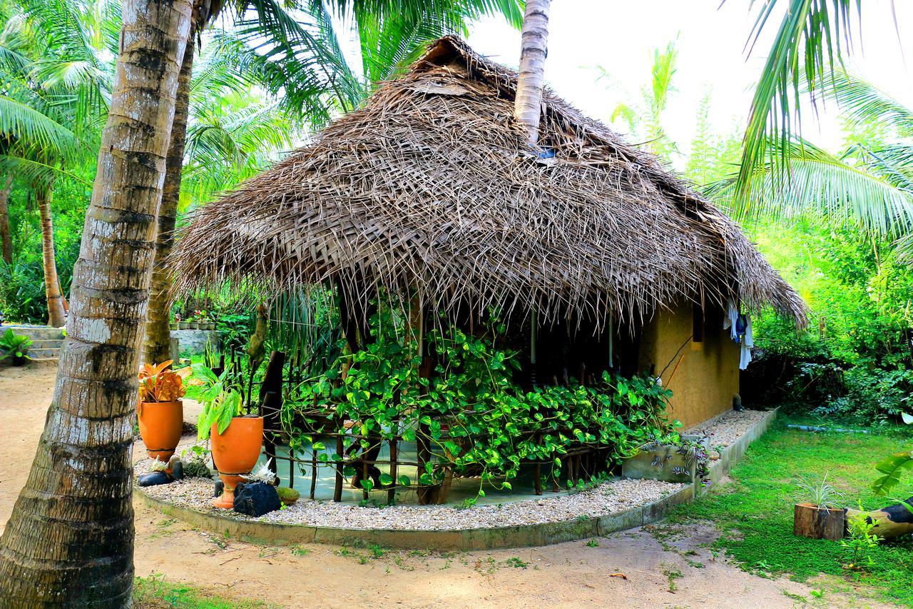 Turtle Watch Cabana Tangalle Exteriör bild