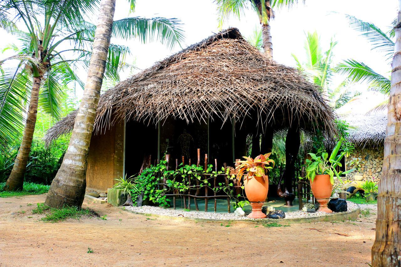 Turtle Watch Cabana Tangalle Exteriör bild