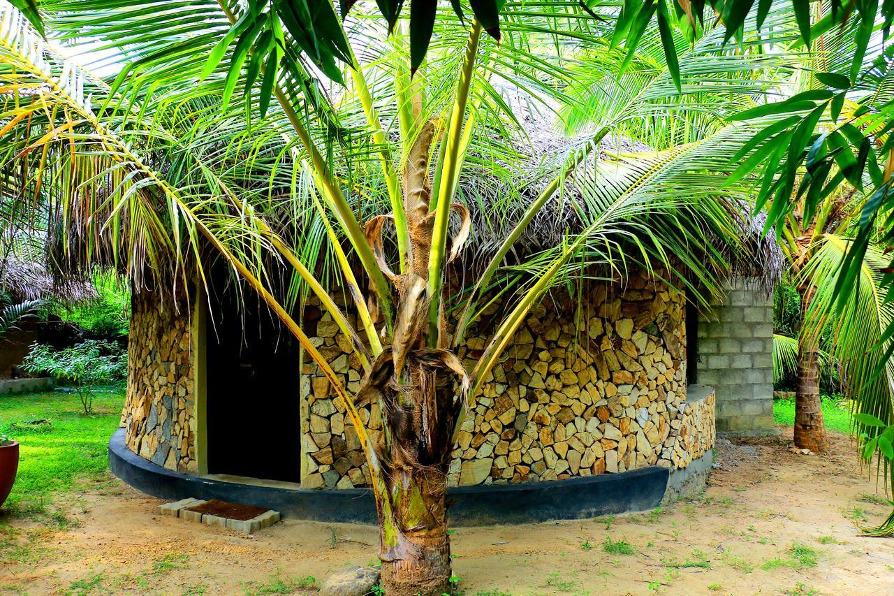 Turtle Watch Cabana Tangalle Exteriör bild