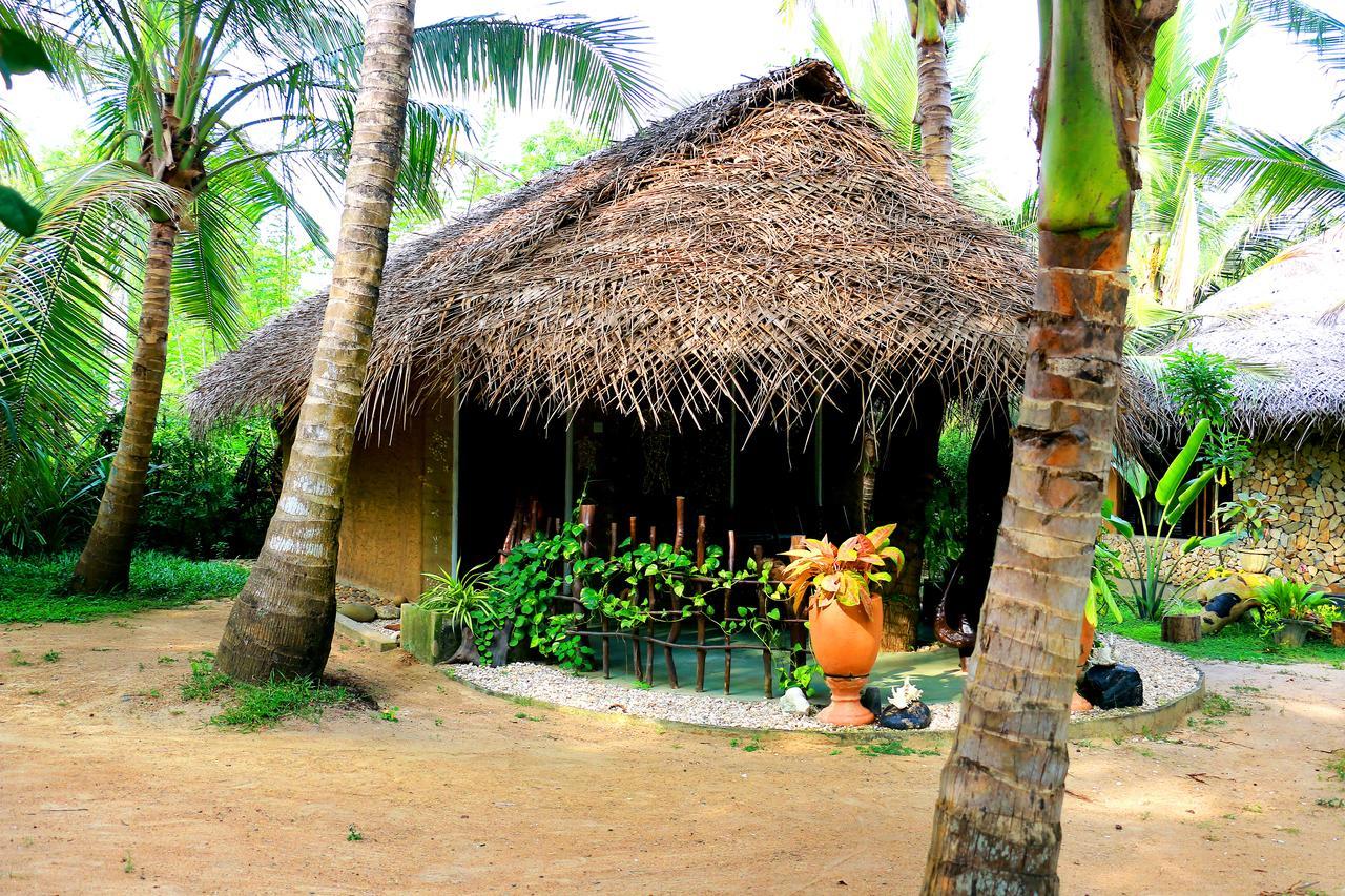 Turtle Watch Cabana Tangalle Exteriör bild